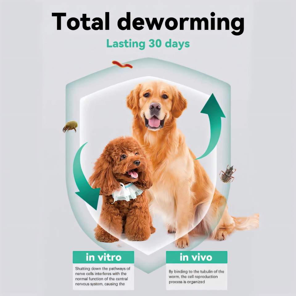 Ultimate Flea & Tick Spot-On Treatment for Dogs (23-44 lbs, 3+ Months) WITH FREE 11 IN 1 MADRE CACAO SOAP