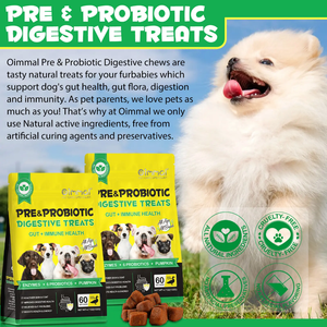 PRE AND PROBIOTIC DIGESTIVE TREAT FOR DOGS