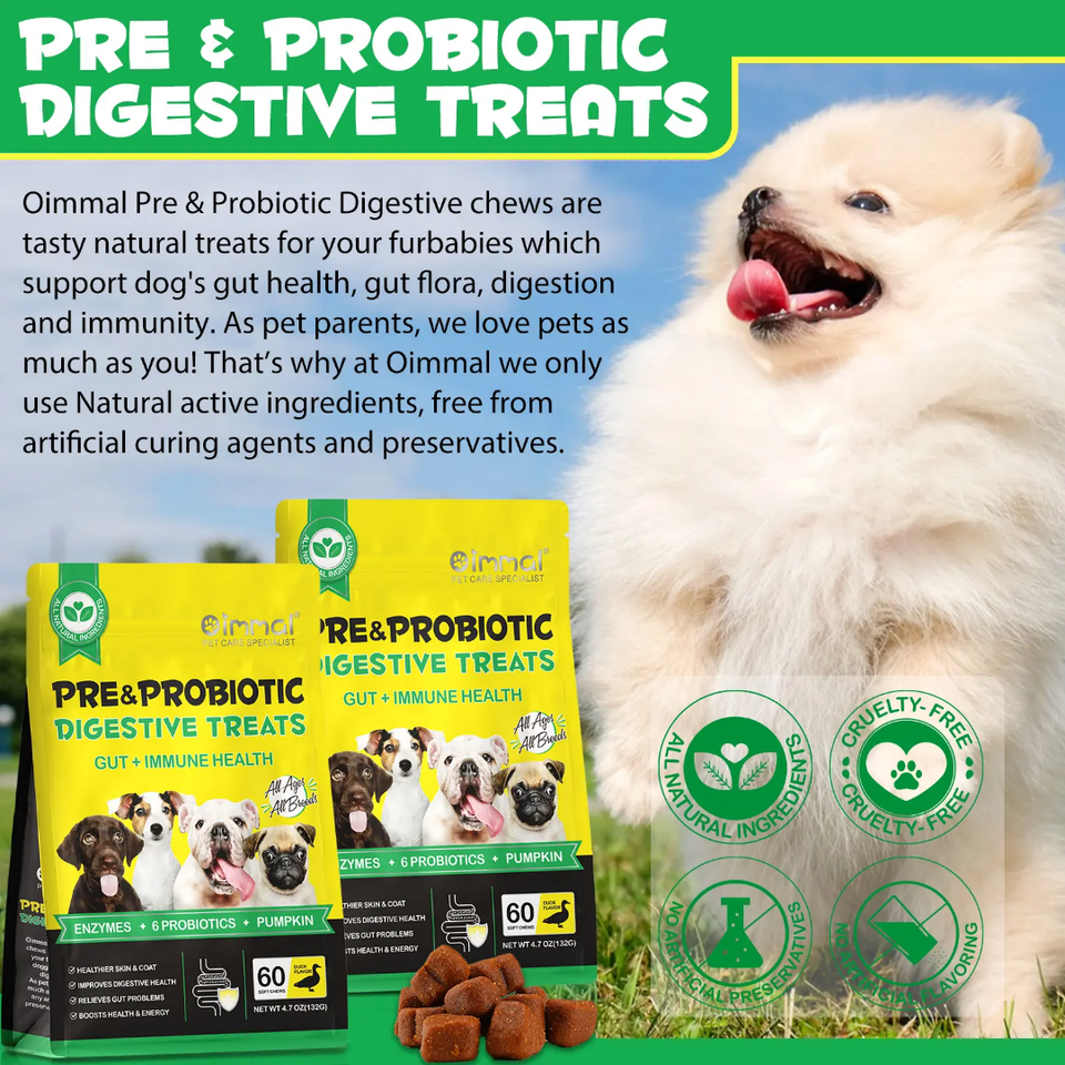 PRE AND PROBIOTIC DIGESTIVE TREAT FOR DOGS