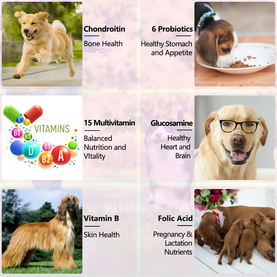 15 IN 1 MULTIVITAMINS LIQUID FOR DOGS