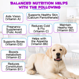 15 IN 1 MULTIVITAMINS LIQUID FOR DOGS