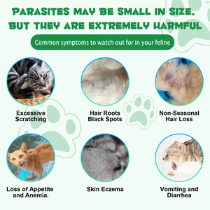 Herbal Dewormer with 6 Probiotics for Cats