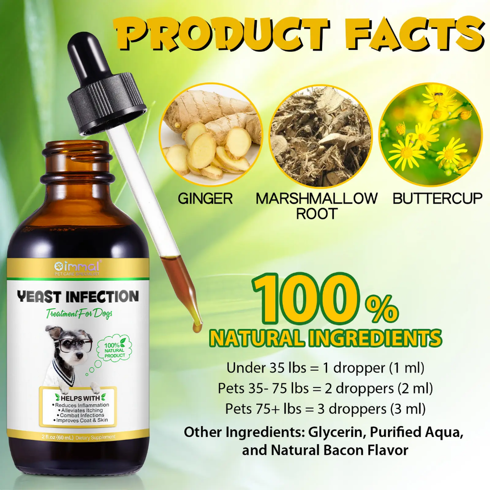 Yeast Infection Treatment for Dogs – Soothe, Heal &amp; Protect