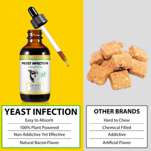 Yeast Infection Treatment for Dogs – Soothe, Heal &amp; Protect