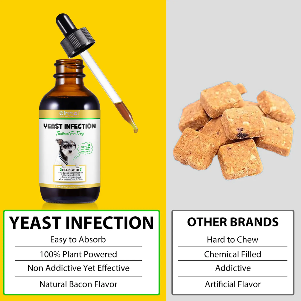 Yeast Infection Treatment for Dogs – Soothe, Heal &amp; Protect