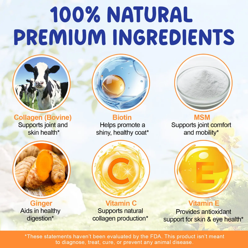 COLLAGEN BOOST FOR DOGS