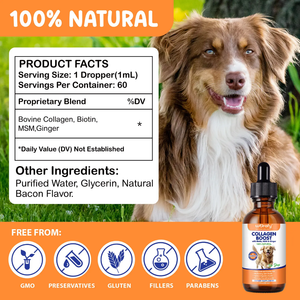 COLLAGEN BOOST FOR DOGS
