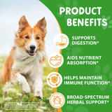 HERBAL DE-WORMER WITH PROBIOTICS FOR DOGS