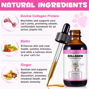 COLLAGEN BOOST FOR CATS