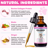 COLLAGEN BOOST FOR CATS