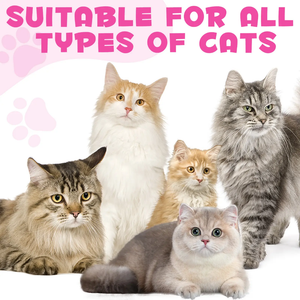 COLLAGEN BOOST FOR CATS