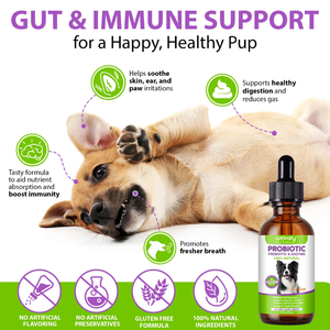 PRE & PROBIOTICS WITH ENZYME FOR DOGS