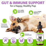PRE & PROBIOTICS WITH ENZYME FOR DOGS