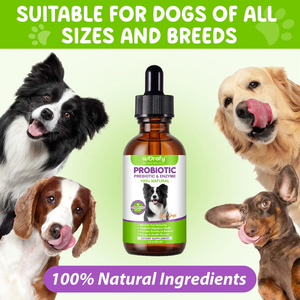 PRE & PROBIOTICS WITH ENZYME FOR DOGS