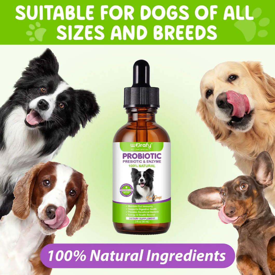 PRE & PROBIOTICS WITH ENZYME FOR DOGS
