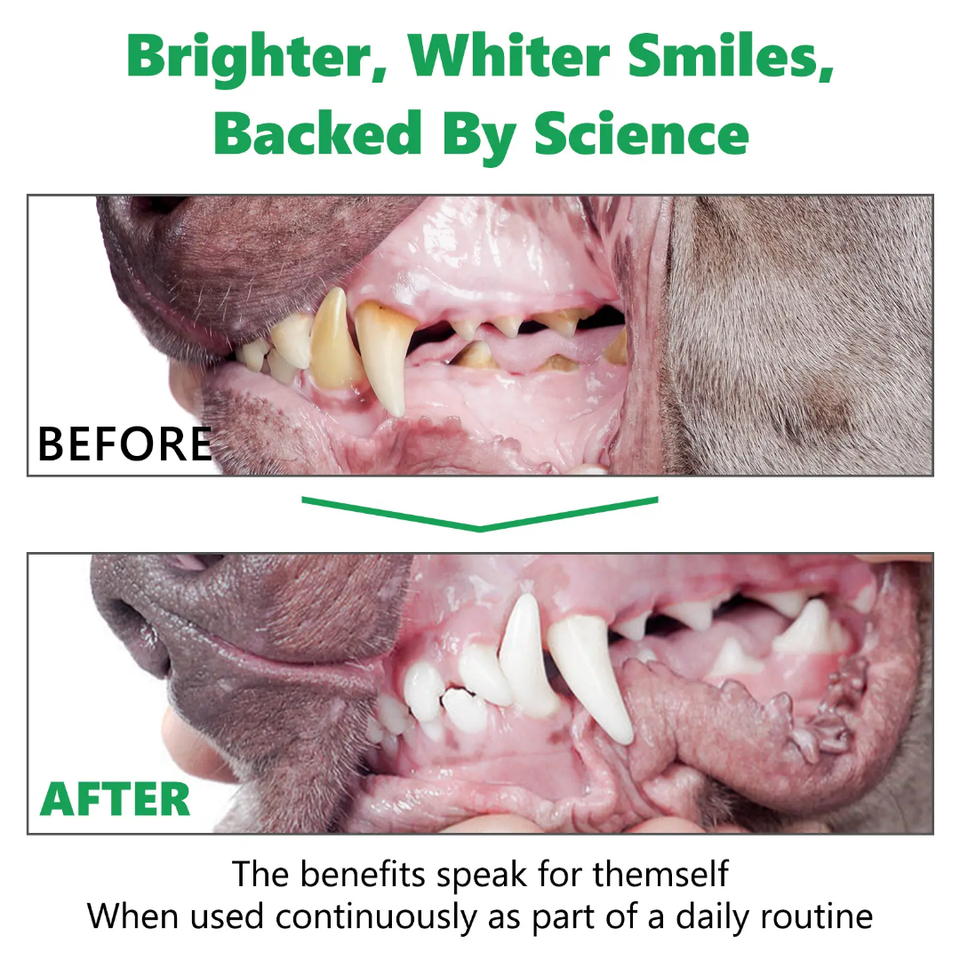 PET DENTAL CLEANING POWDER