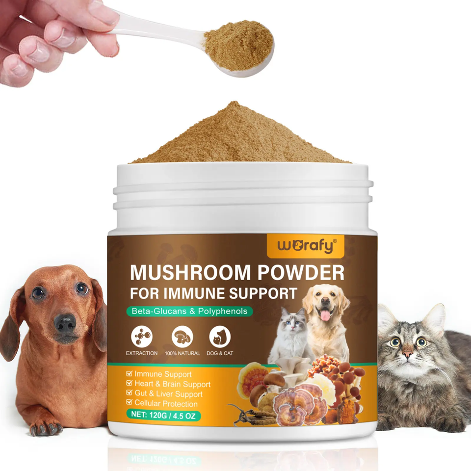 MUSHROOM POWDER FOR IMMUNE SUPPORT