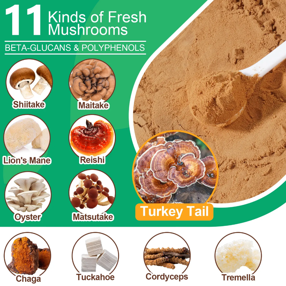 MUSHROOM POWDER FOR IMMUNE SUPPORT