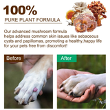 MUSHROOM POWDER FOR IMMUNE SUPPORT