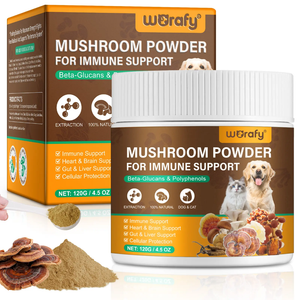 MUSHROOM POWDER FOR IMMUNE SUPPORT