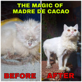 10 in 1 Madre de Cacao Shampoo