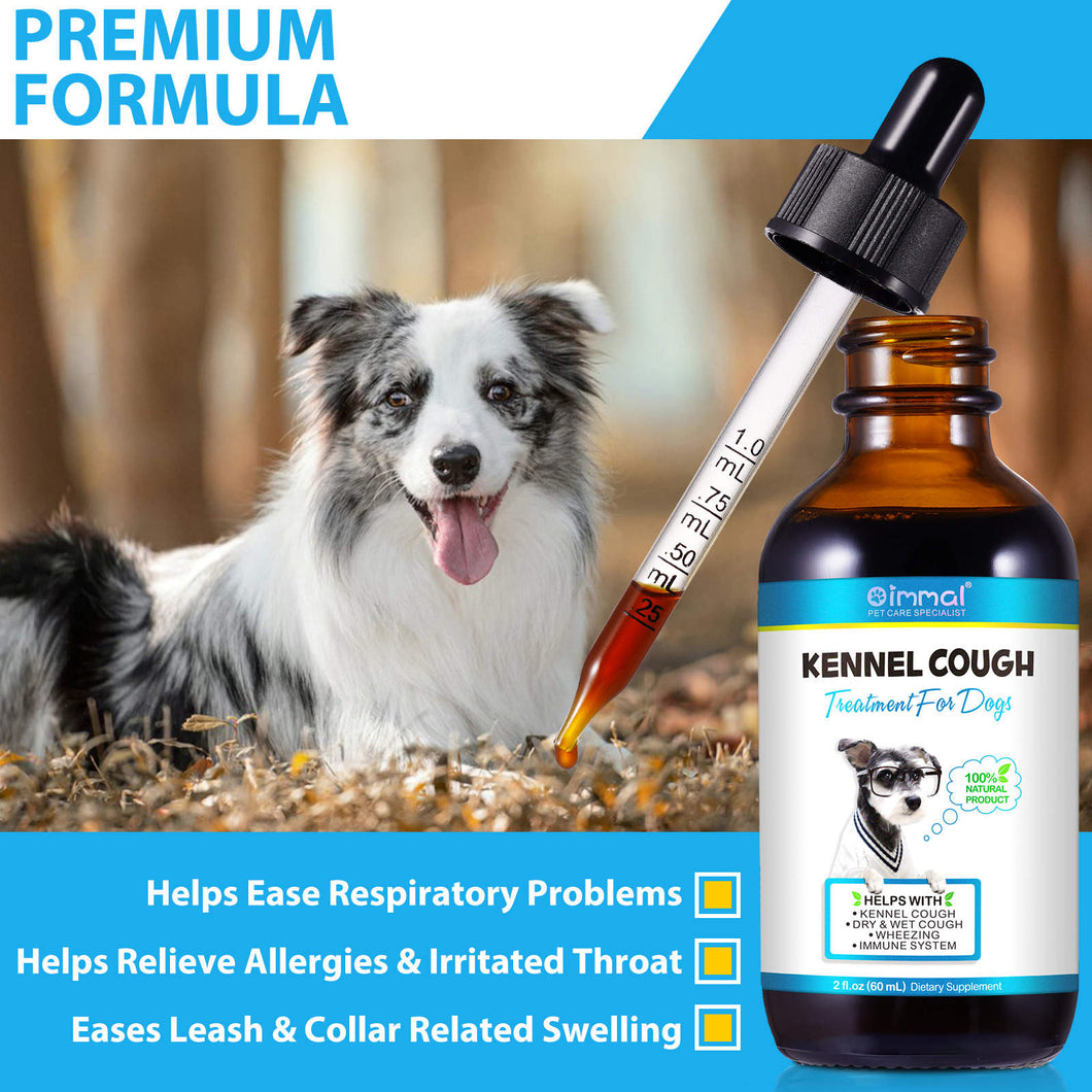 Kennel Cough Treatment for Dogs