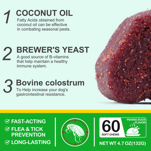 FLEA AND TICK PREVENTION CHEWS