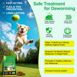 FLEA AND TICK PREVENTION CHEWS