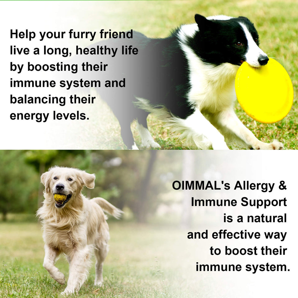 Allergy & Immune Support Supplement for Dogs