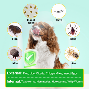 FLEA AND TICK PREVENTION CHEWS