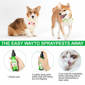 FLEA AND TICK SPRAY