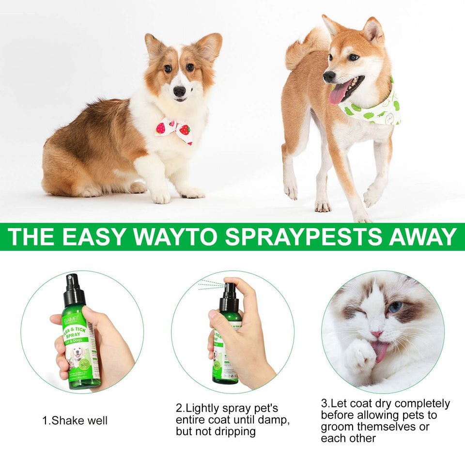 FLEA AND TICK SPRAY