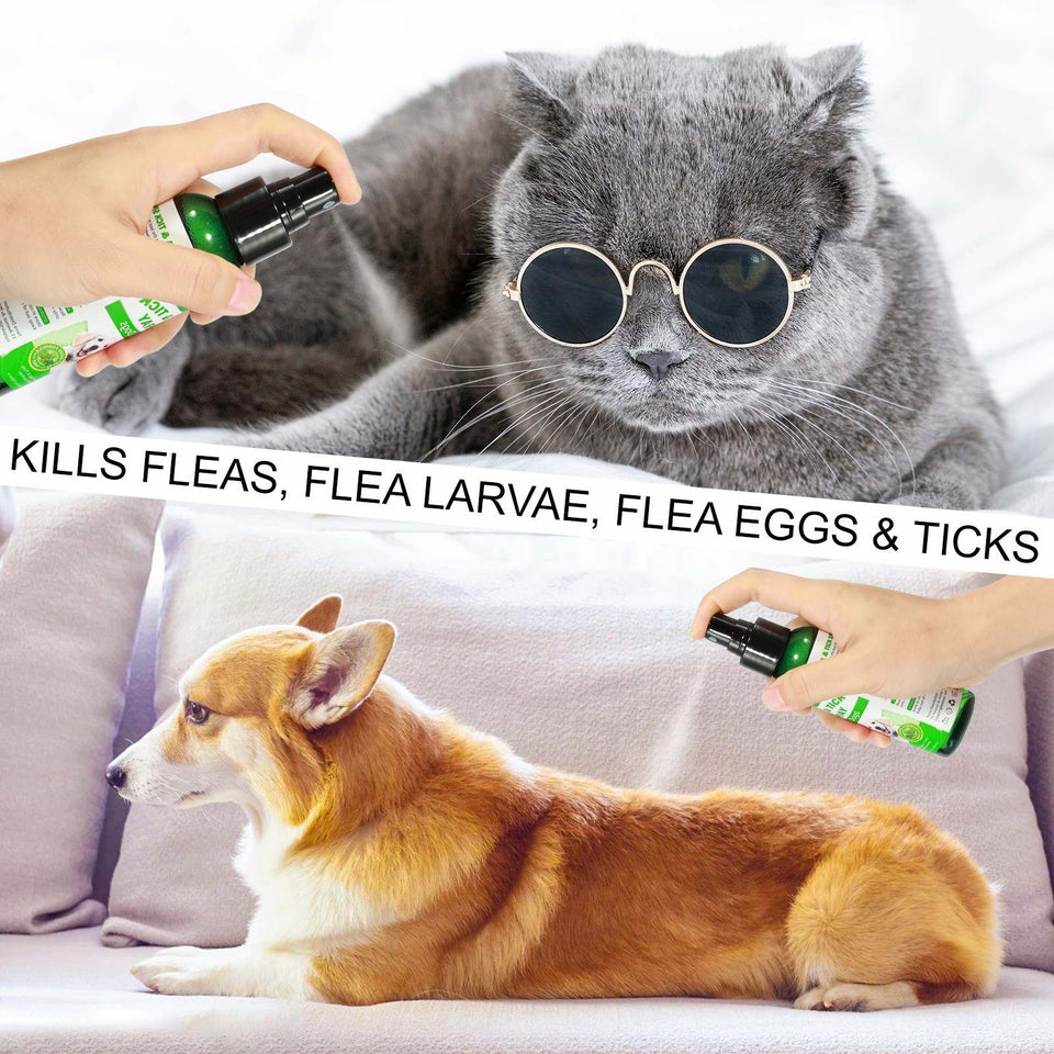 FLEA AND TICK SPRAY