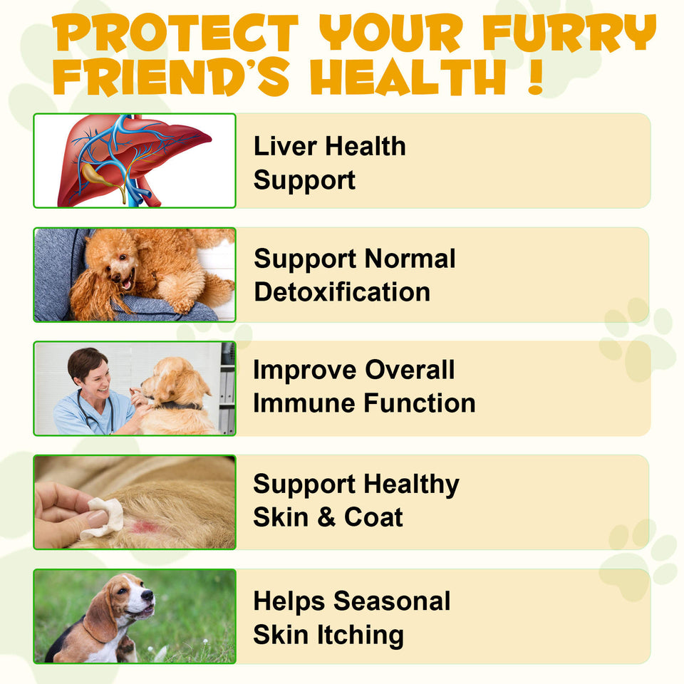 Allergy & Immune Support Supplement for Dogs