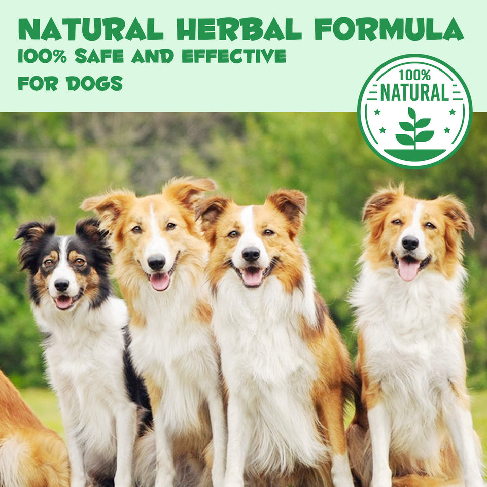 Herbal De-Wormer with Probiotics for Dogs