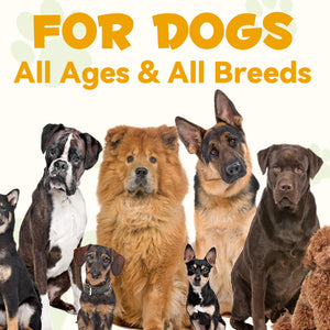 Allergy & Immune Support Supplement for Dogs