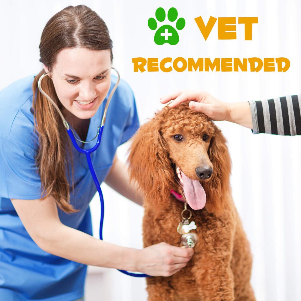 Allergy & Immune Support Supplement for Dogs