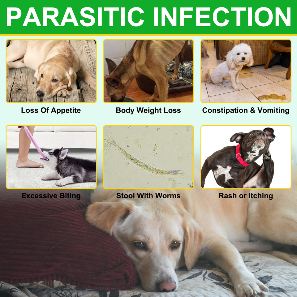FLEA AND TICK PREVENTION CHEWS