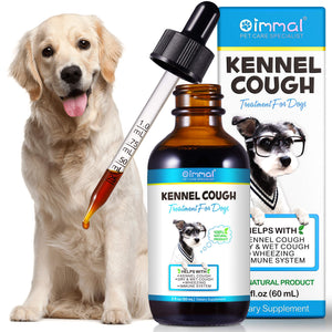 Kennel Cough Treatment for Dogs