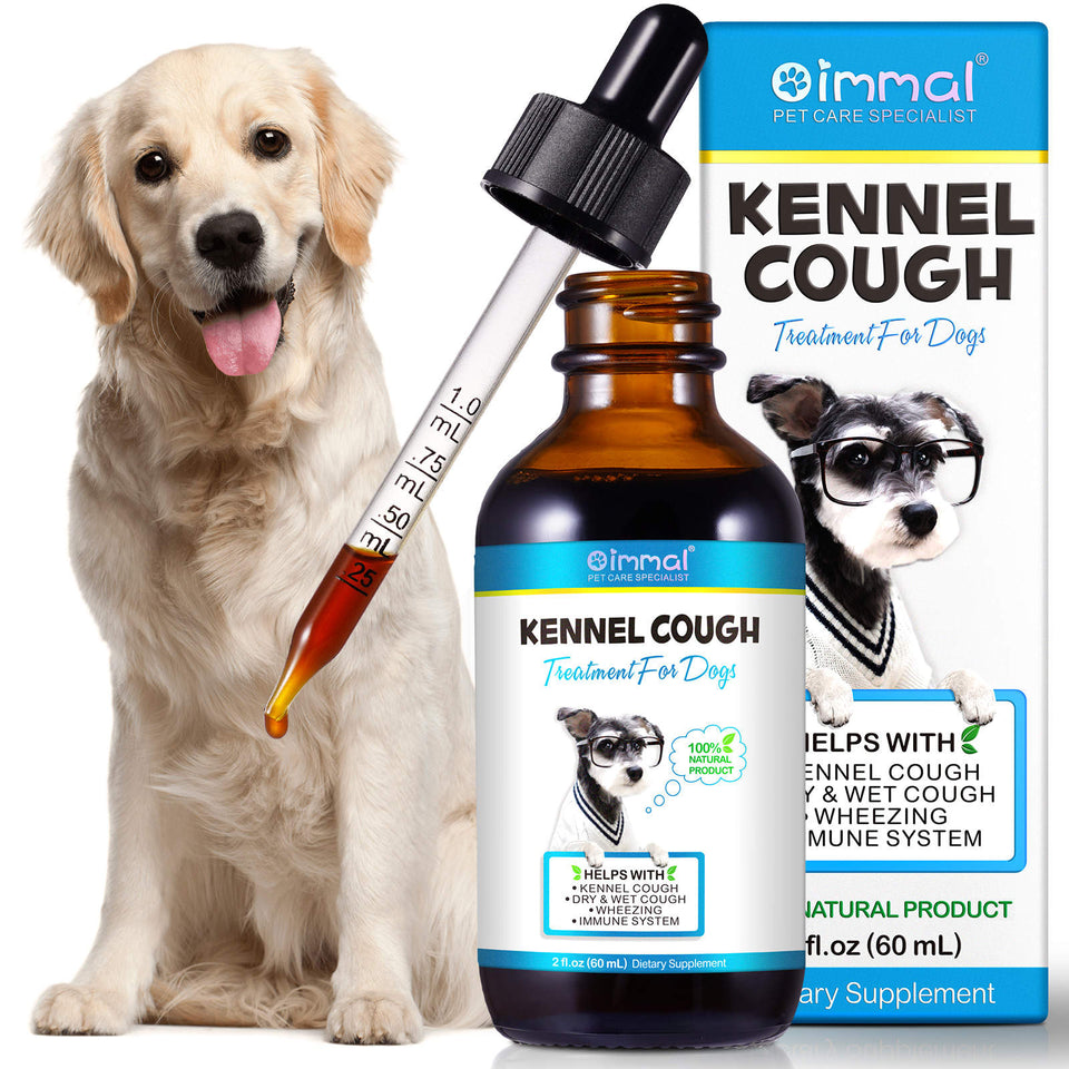 Kennel Cough Treatment for Dogs