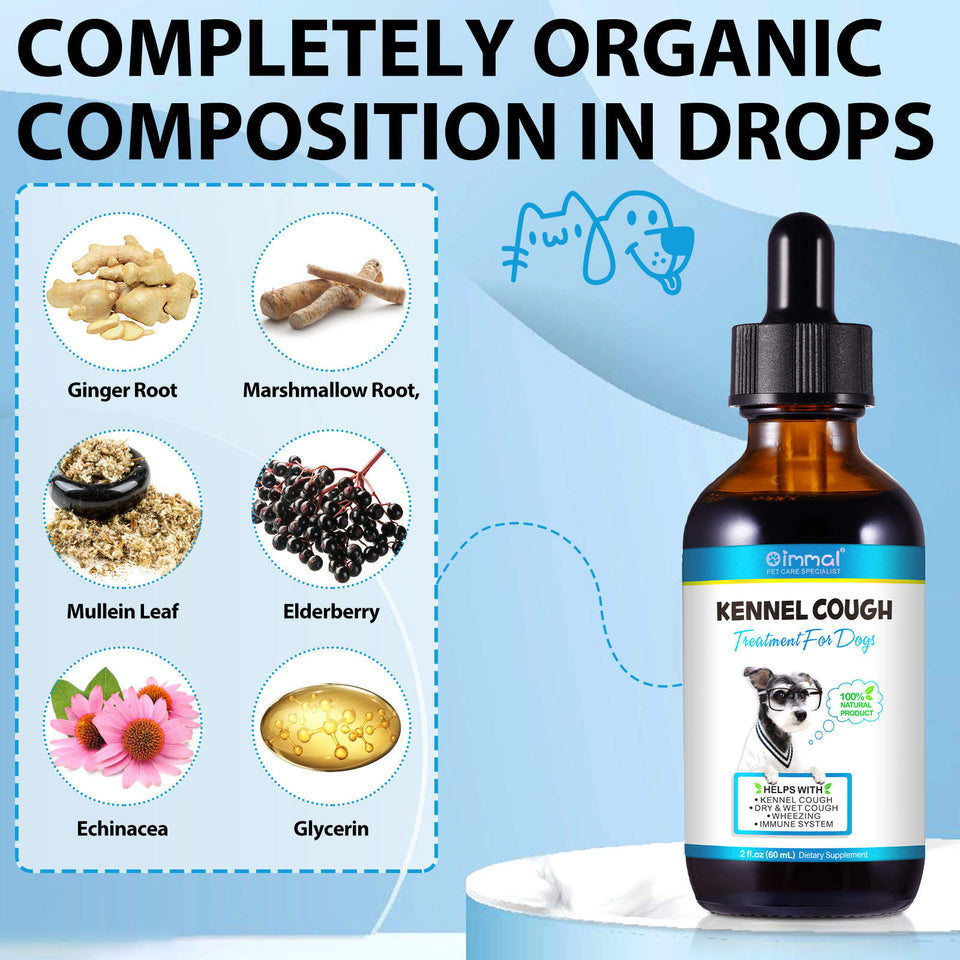 Kennel Cough Treatment for Dogs