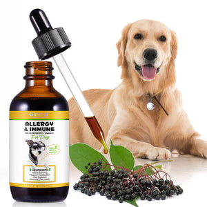 Allergy & Immune Support Supplement for Dogs