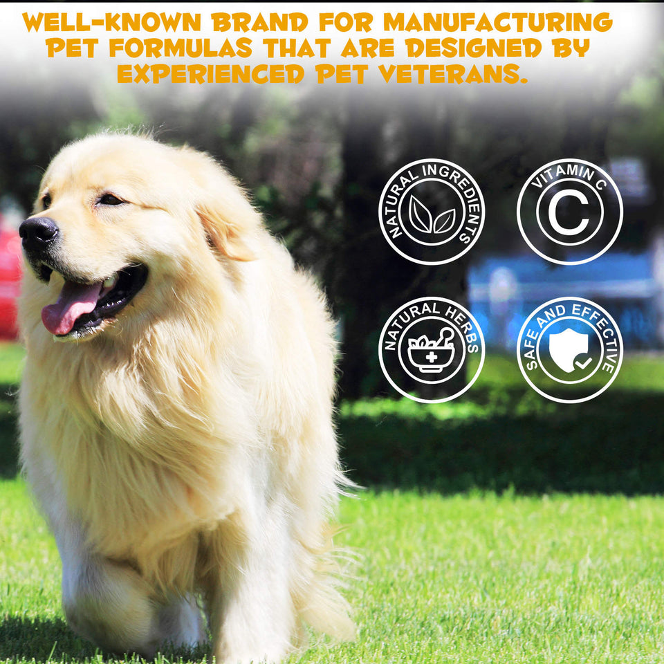 Allergy & Immune Support Supplement for Dogs