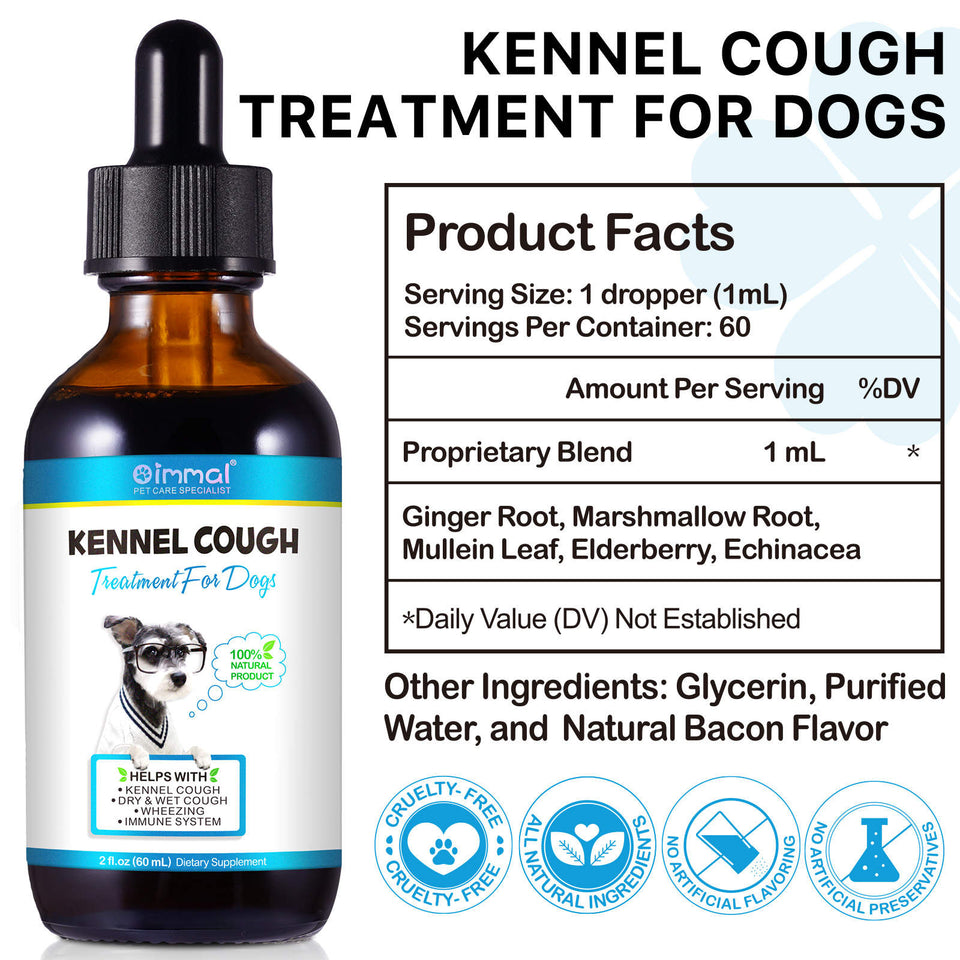 Kennel Cough Treatment for Dogs