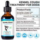 Kennel Cough Treatment for Dogs