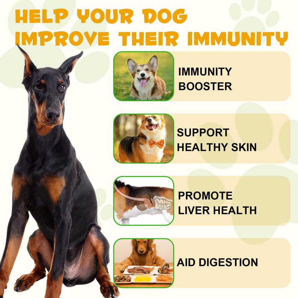 Allergy & Immune Support Supplement for Dogs