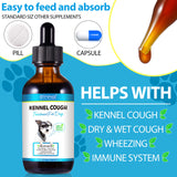 Kennel Cough Treatment for Dogs