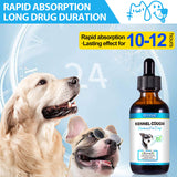 Kennel Cough Treatment for Dogs