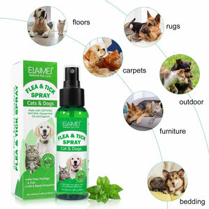 FLEA AND TICK SPRAY