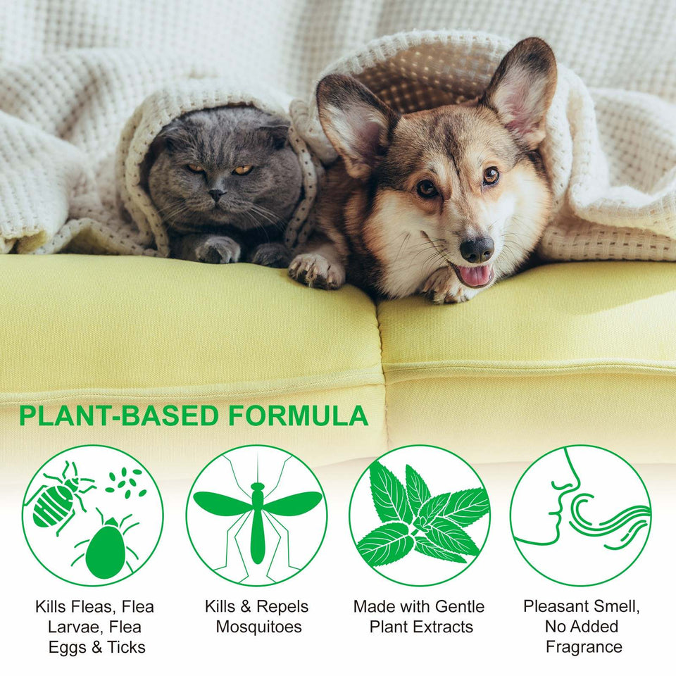 FLEA AND TICK SPRAY